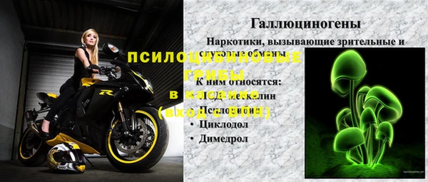 крисы Абдулино