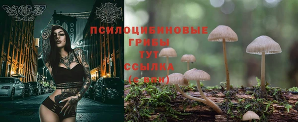a pvp Абинск