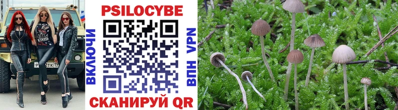 Псилоцибиновые грибы Psilocybine cubensis  Урень 
